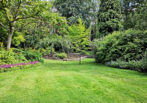 Optimiser l'expérience du jardin à Saint-Gervais-du-Perron